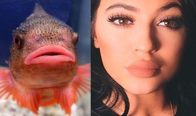 Kylie Jenner Fish Lips