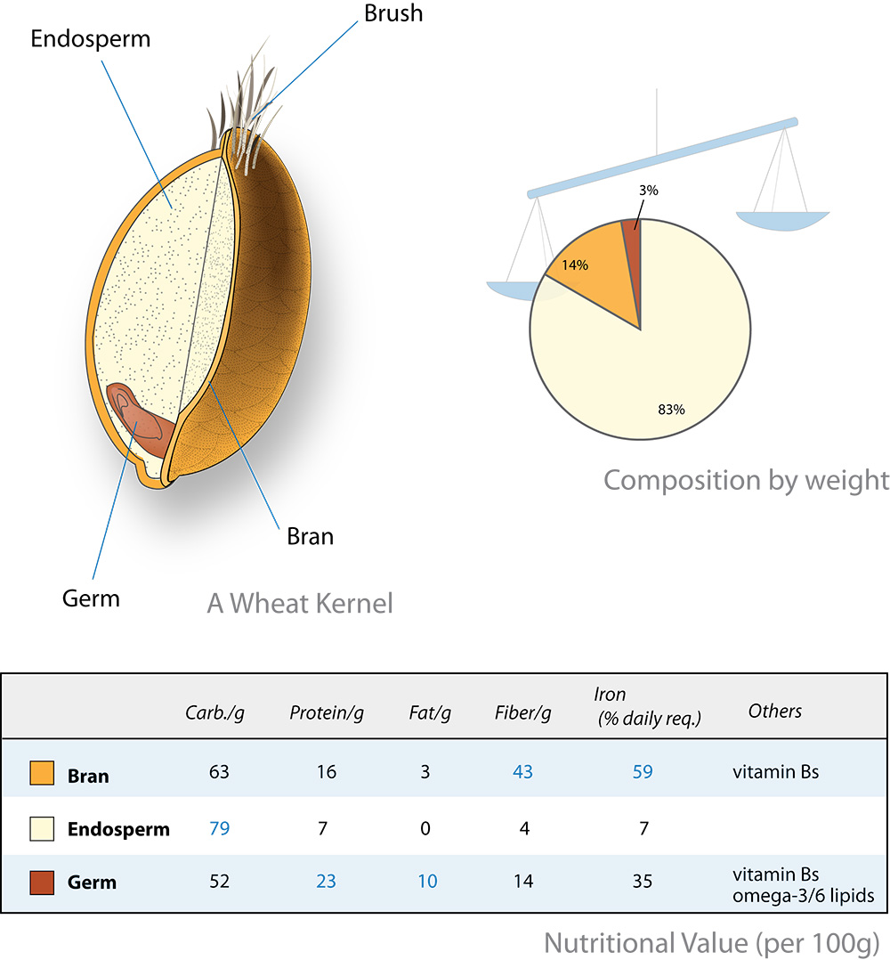 5-great-grains-or-seeds-you-should-eat-instead-of-white-rice-dr-siew